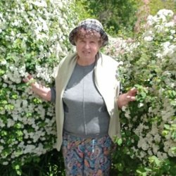 Наталис